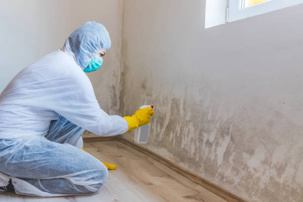 Crawl Space Mold Remediation treatment of floor joists in Highland Park